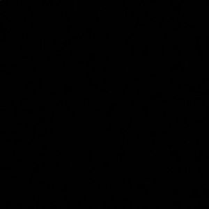 Meet your Posher, Miya